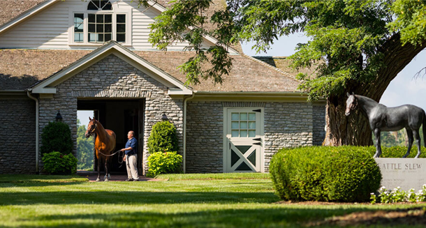 Gonçalo Torrealba’s Three Chimneys Farm and Other 5 of the Best Breeding Farms in the World