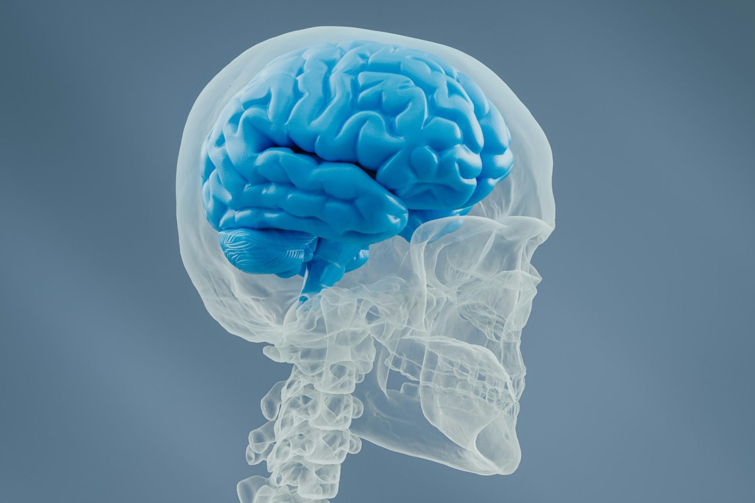 What’s the Gut-Brain Connection All About—and Why Should You Care Right Now? Your Second Brain, Decoded