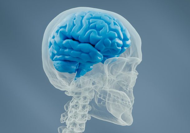 What’s the Gut-Brain Connection All About—and Why Should You Care Right Now? Your Second Brain, Decoded