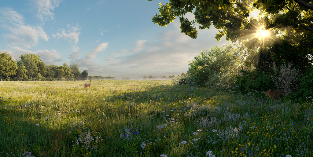 Environment Bank Reports Success in BNG Market After One Year