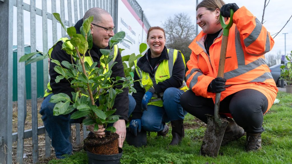 Biodiversity Drive: XPO Plants Trees and Wildflowers at Crick HQ
