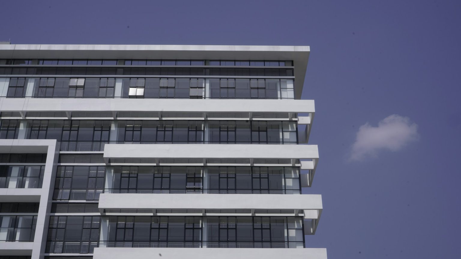 Navigating Economic Cycles: Lessons from Michael Shanly's Five-Decade Property Career