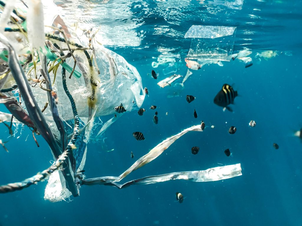 Plastic pollution in Europe’s food system