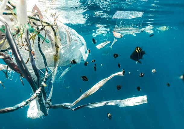 Plastic pollution in Europe’s food system