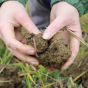 UK Farmers Can Monetise Soil Carbon Through EFG Partnerships