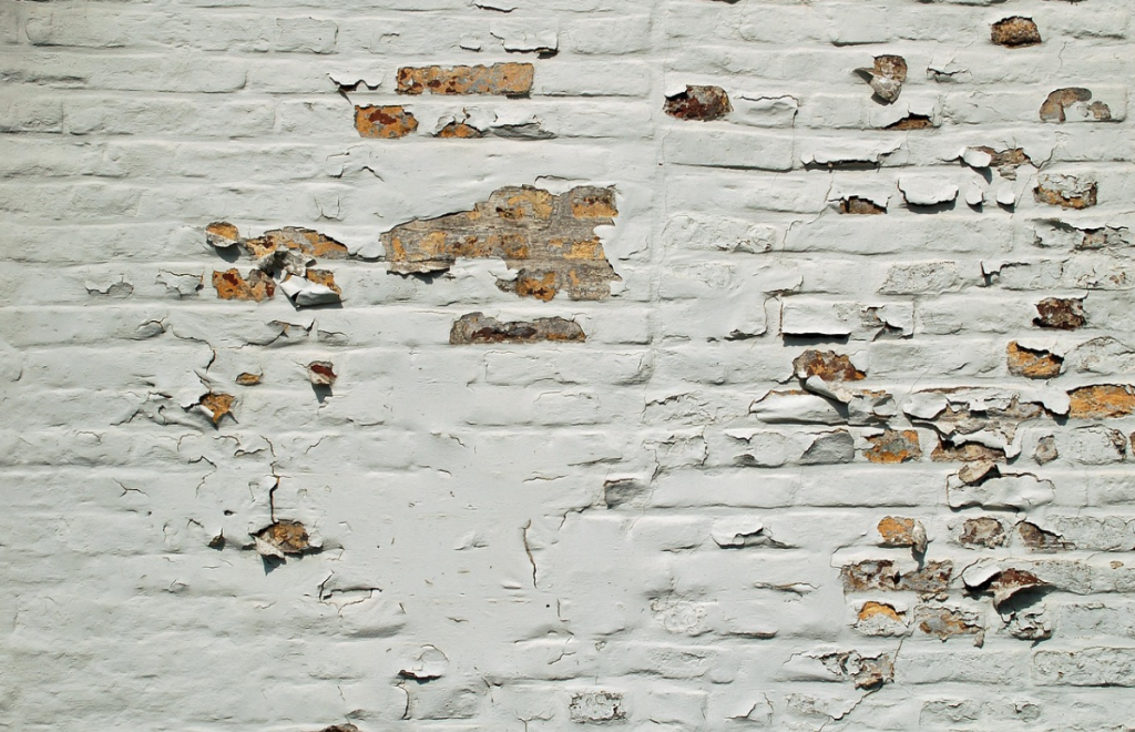 Simple Steps to a Lead-Free Home