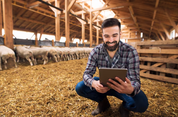 newsanyway.com - News Team - Meet the Alberta Rancher Mokah Shmigelsky Who Built a Fintech Empire from a Cow Barn - News Anyway