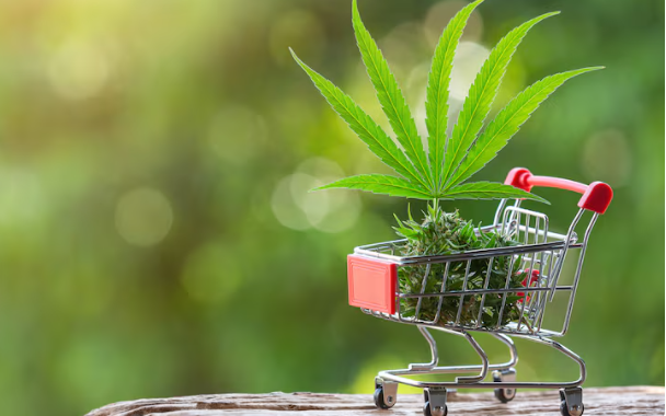 Cannabis Markets in Legal States Are Collapsing Under Tax Burdens Cannabis Markets in Legal States Are Collapsing Under Tax Burdens