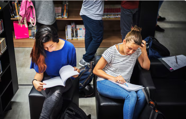 The Death of the Essay , How Gen Z’s Reading Habits are Forcing a Media Overhaul The Death of the Essay , How Gen Z’s Reading Habits are Forcing a Media Overhaul