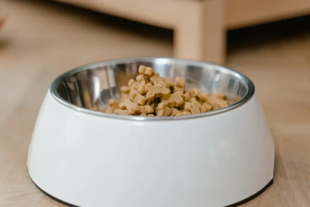 Best Dog Food 2026 Guide: What Vets Actually Recommend and Why best dog food 2026