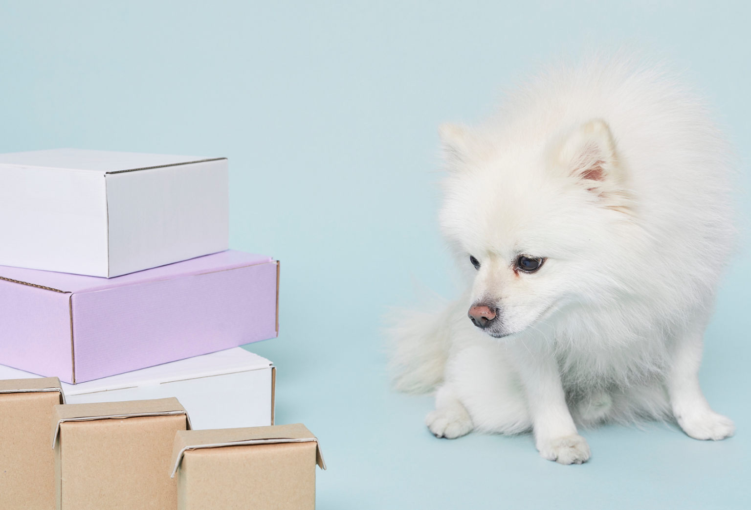 Is a BULLYMAKE Subscription Worth It for Aggressive Chewers?