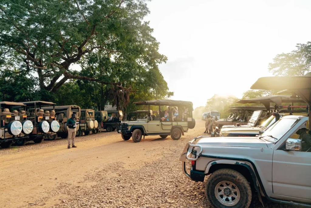 A Kruger National Park Safari Cost One Couple Under $1,500. Here Is How It Compares. Kruger National Park safari cost
