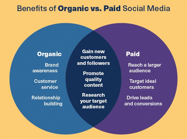 Why Paid Social Proof Accelerates Organic Reach on YouTube Venn diagram comparing the benefits of organic and paid social media