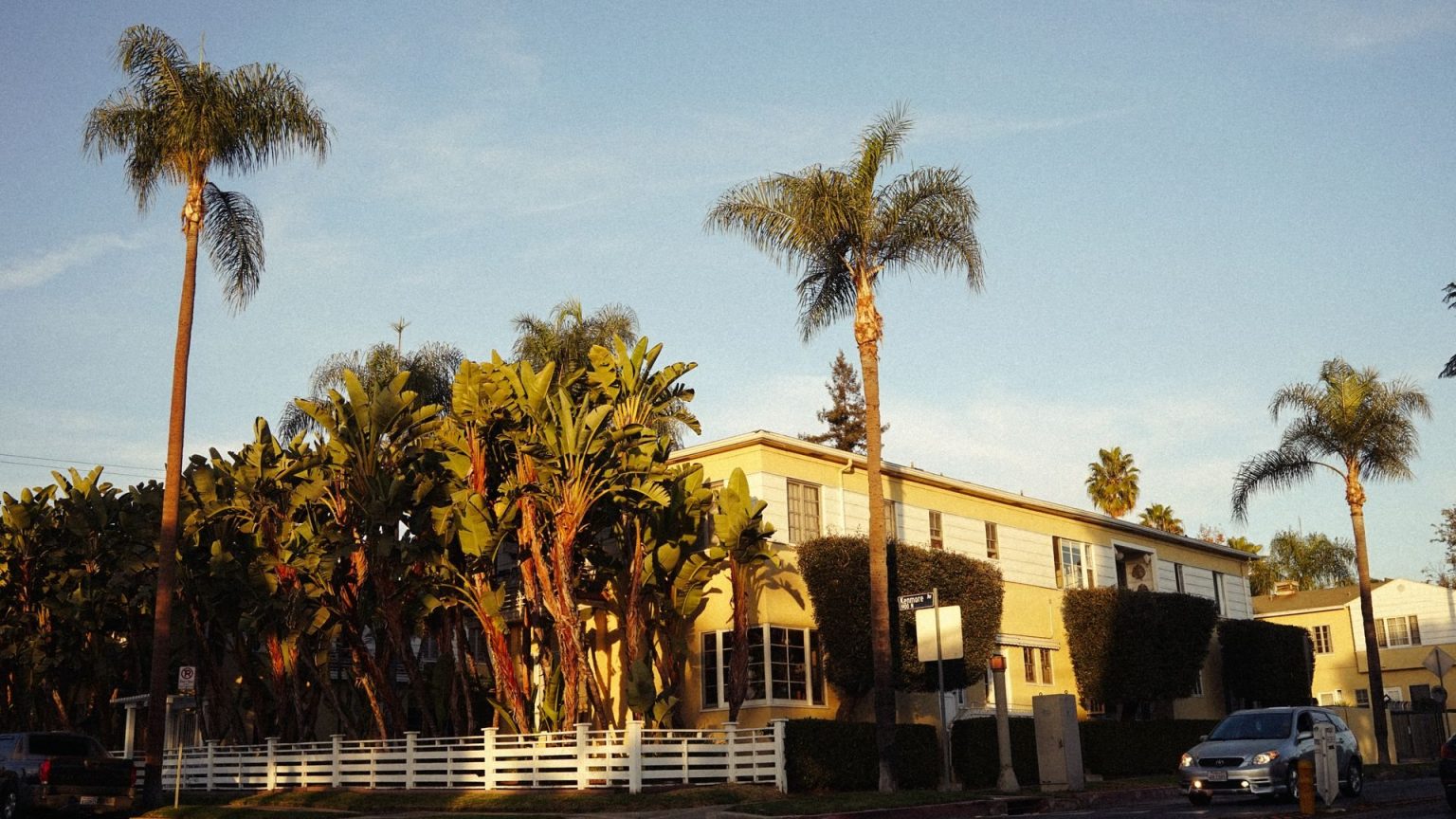 Contemporary Information Corp – California Rent Control Laws A mid-century apartment building framed by tall palm trees in warm California sunlight